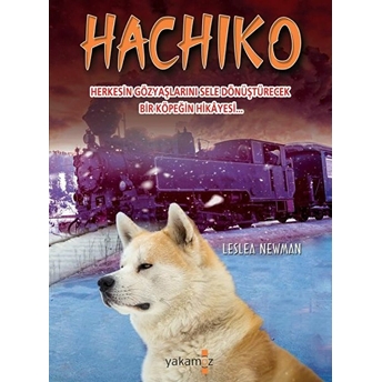 Hachiko (Ciltli) Leslea Newman