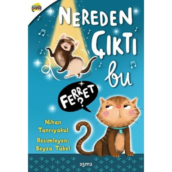 Hanibanakids Nereden Çıktı Bu Ferret Nihan Tanrıyakul