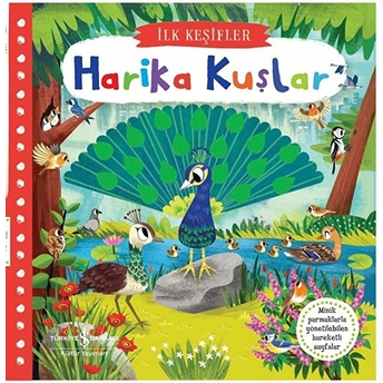 Harika Kuşlar - Ilk Keşifler Kolektif