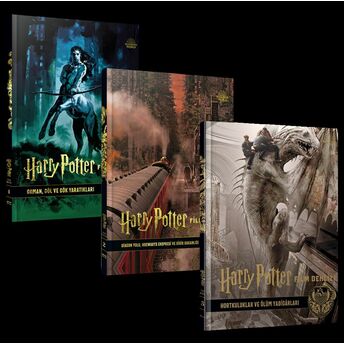 Harry Potter Film Dehlizi Serisi 3 Kitap Takım ( Karton Kapak) Jody Revenson