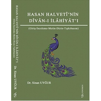 Hasan Halveti'nin Divan-I Ilahiyatı