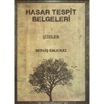 Hasar Tespit Belgeleri Derviş Balkiraz