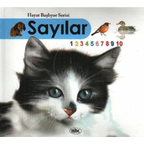 Hayat Başlıyor - Sayılar (Kitap + Cd)-Kolektif