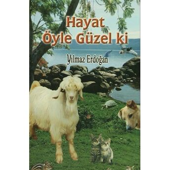 Hayat Öyle Güzel Ki Yılmaz Erdoğan