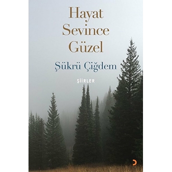 Hayat Sevince Güzel - Şükrü Çiğdem