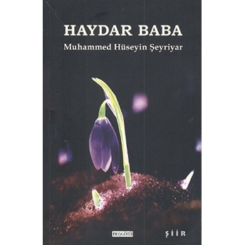 Haydar Baba