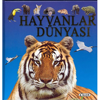 Hayvanlar Dünyası Kolektif