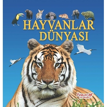 Hayvanlar Dünyası Kolektif