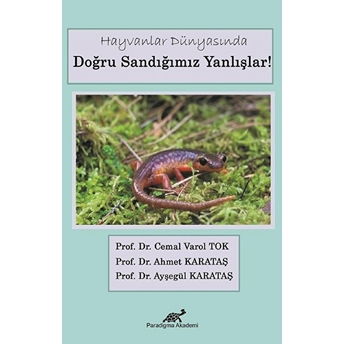 Hayvanlar Dünyasında Doğru Sandığımız Yanlışlar Cemal Varol Tok