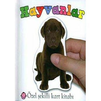 Hayvanlar Kolektif