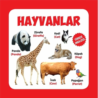 Hayvanlar Türkçe-Ingilizce Kolektif