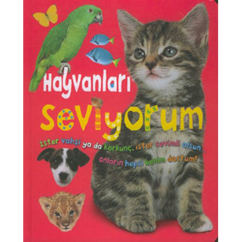 Hayvanları Seviyorum Kolektif