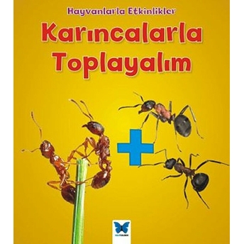 Hayvanlarla Etkinlikler - Karıncalarla Toplayalım Tracey Steffora