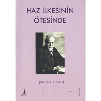 Haz Ilkesinin Ötesinde