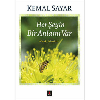 Her Şeyin Bir Anlamı Var Kemal Sayar