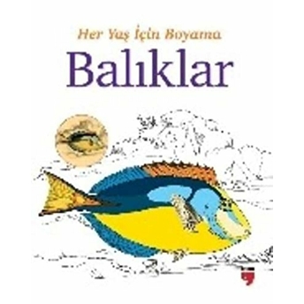 Her Yaş Için Boyama - Balıklar Kolektif