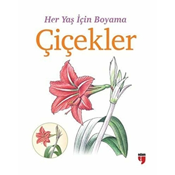 Her Yaş Için Boyama - Çiçekler Kolektif