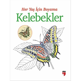 Her Yaş Için Boyama - Kelebekler Kolektif