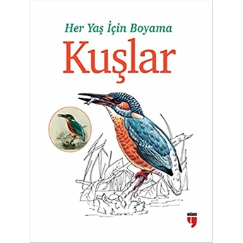 Her Yaş Için Boyama - Kuşlar Ayşe Zeynep Alp