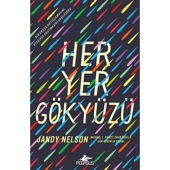 Her Yer Gökyüzü Jandy Nelson