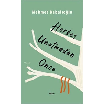 Herkes Unutmadan Önce Mehmet Babalıoğlu