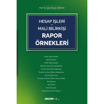 Hesap Işleri Mali Bilirkişi Rapor Örnekleri Rabia Ünaldı