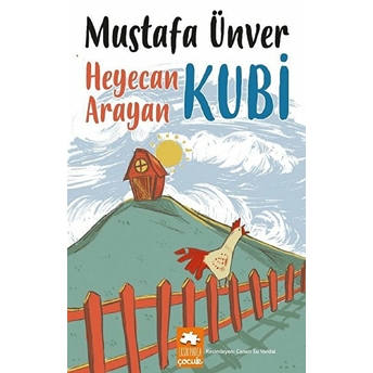 Heyecan Arayan Kubi - Mustafa Ünver