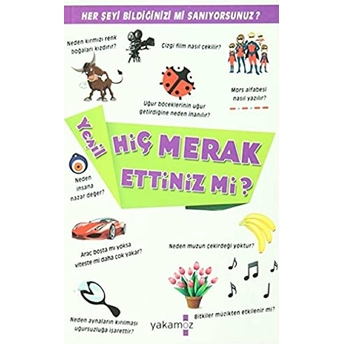 Hiç Merak Ettiniz Mi? Yeşil Kolektif