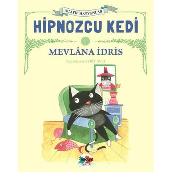 Hipnozcu Kedi Mevlana Idris