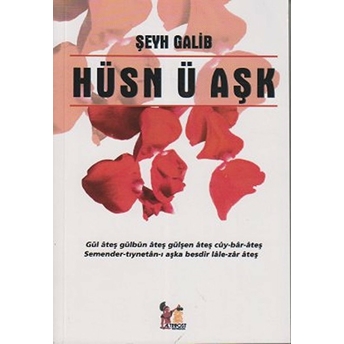 Hüsn Ü Aşk