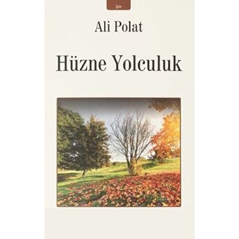 Hüzne Yolculuk Ali Polat