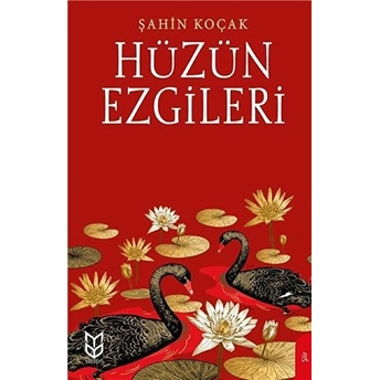 Hüzün Ezgileri Şahin Koçak