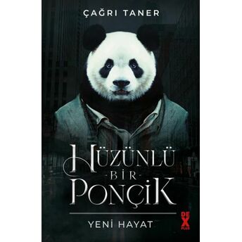 Hüzünlü Bir Ponçik - Yeni Hayat Çağrı Taner