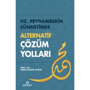 Hz. Peygamberin Sünnetinde Alternatif Çözüm Yolları Abdulkadir Evgin