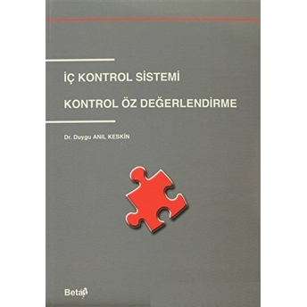 Iç Kontrol Sistemi Kontrol Öz Değerlendirme - Duygu Anıl Keskin