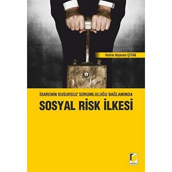 Idarenin Kusursuz Sorumluluğu Bağlamında Sosyal Risk Ilkesi