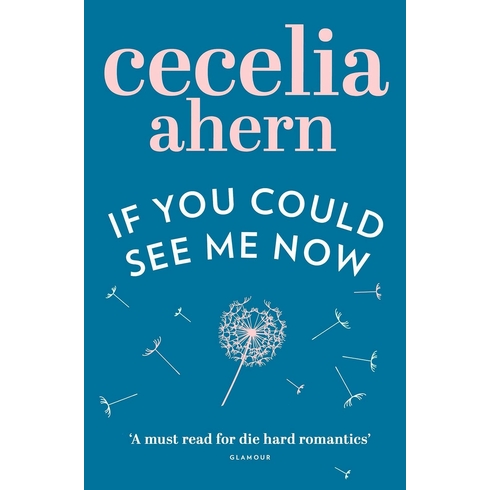 If You Could See Me Now - Cecelia Ahern