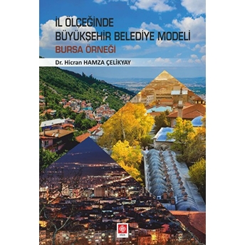 Il Ölçeğinde Büyükşehir Belediye Modeli: Bursa Örneği Hicran Hamza Çelikyay