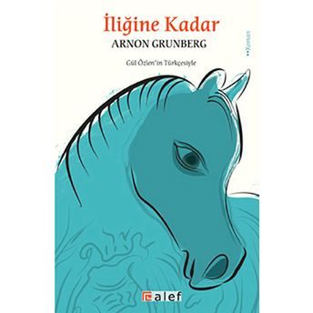 Iliğine Kadar Arnon Grunberg