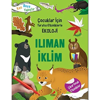 Ilıman Iklim - Çocuklar Için Yaratıcı Etkinliklerle Ekoloji - Kes-Boya-Yapıştır Yoo Gye Soon