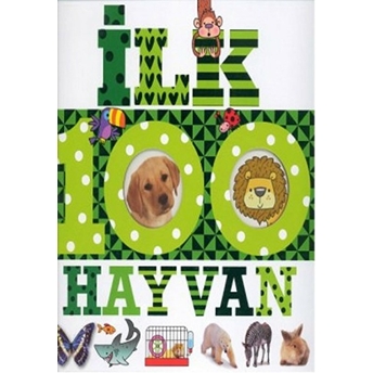 Ilk 100 Hayvan (Büyük Boy) Kolektif