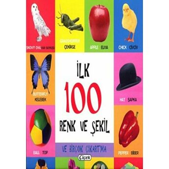 Ilk 100 Renk Ve Şekil Kolektif