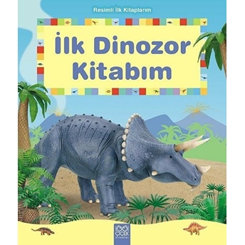 Ilk Dinozor Kitabım - Resimli Ilk Kitaplarım Henri Van Wyk