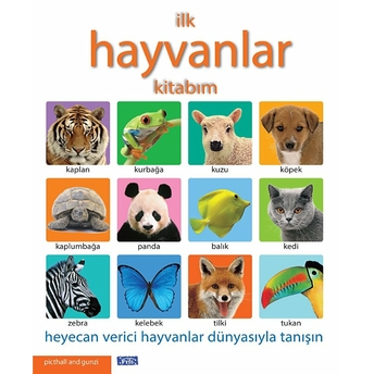 Ilk Hayvanlar Kitabım Kolektif