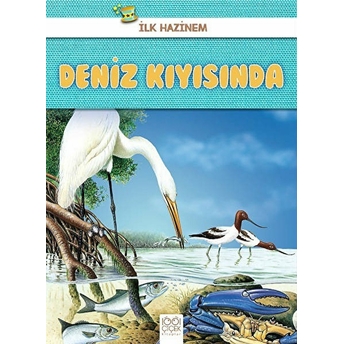 Ilk Hazinem - Deniz Kıyısında Denise Ryan