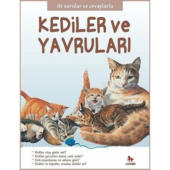 Ilk Sorular Ve Cevaplarla - Kediler Ve Yavruları Camilla De La Bedoyere