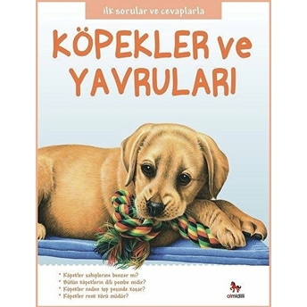 Ilk Sorular Ve Cevaplarla - Köpekler Ve Yavruları Camilla De La Bedoyere