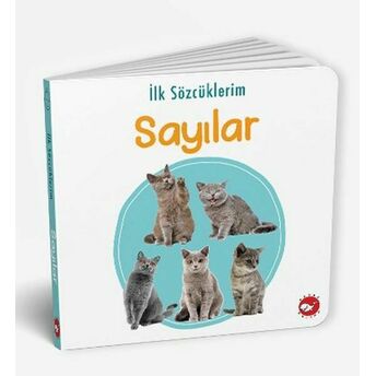 Ilk Sözcüklerim - Sayılar