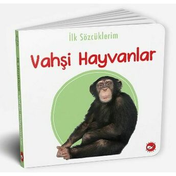 Ilk Sözcüklerim - Vahşi Hayvanlar