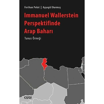 Immanuel Wallerstein Perspektifinde Arap Baharı Tunus Örneği Ferihan Polat